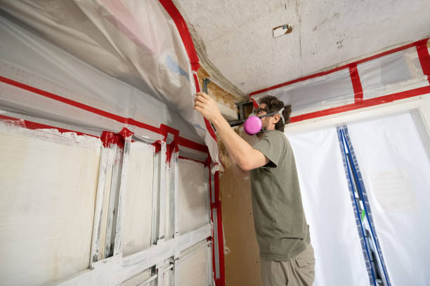 Mold Removal for HVAC Installations in Lima, PA